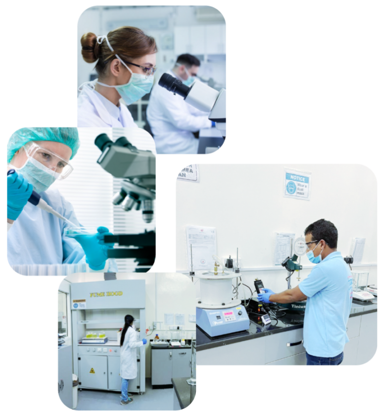 Welcome To Torch Testing Laboratory